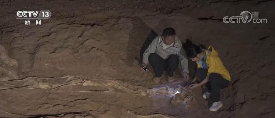 一眼穿越亿万年 重返侏罗纪1.jpg