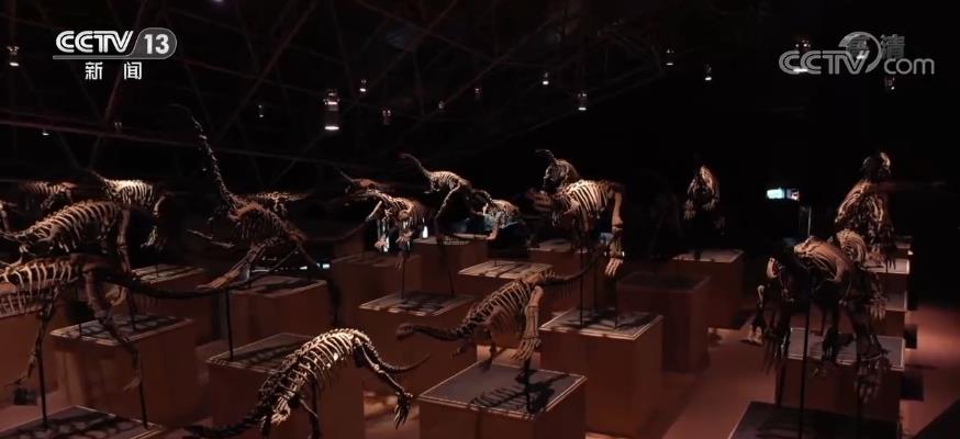 一眼穿越亿万年 重返侏罗纪7.jpg