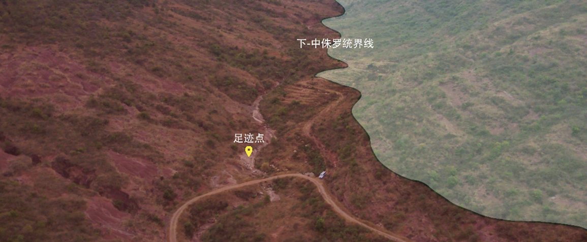  云南新发现120个兽脚类恐龙足迹（李洪清 供图）