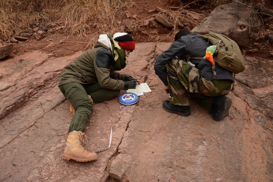  云南新发现120个兽脚类恐龙足迹（李洪清 供图）