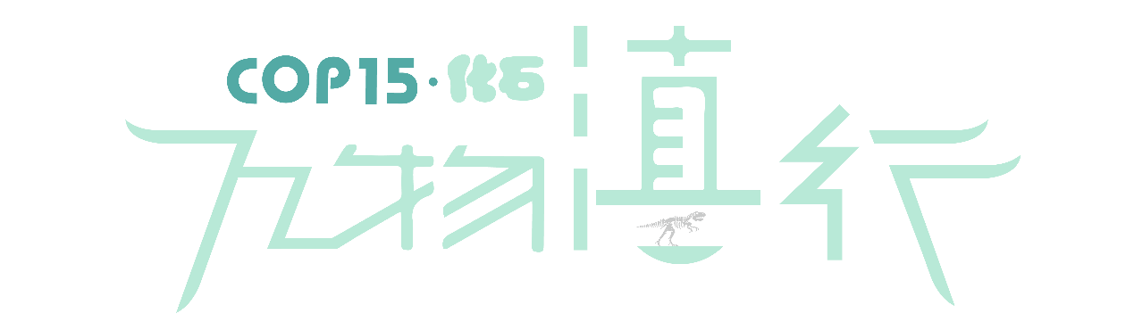 【万物滇行】（化石）