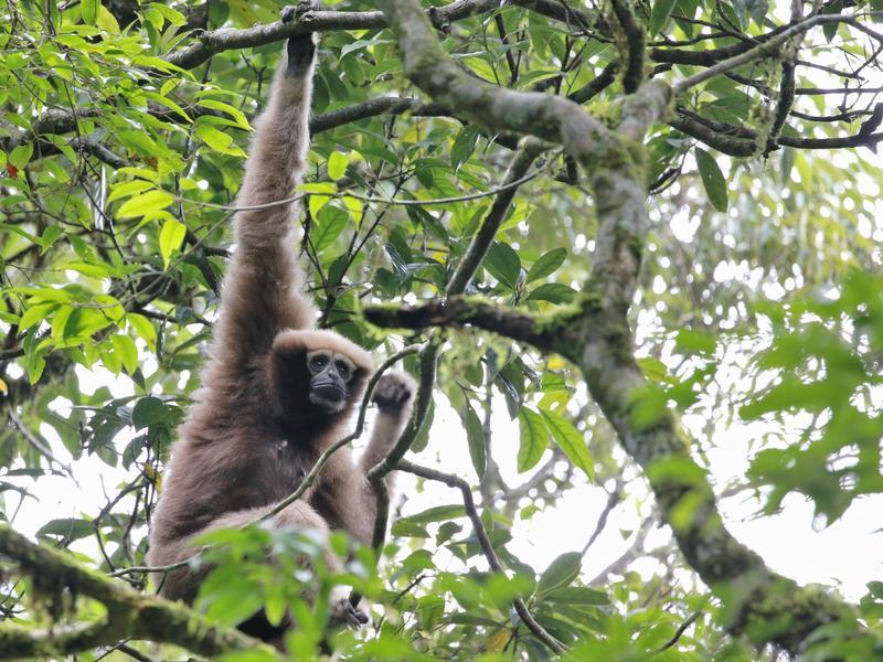 携手共建美丽世界