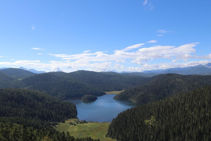 携手共建美丽世界