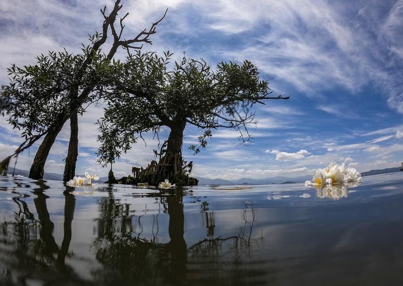 携手共建美丽世界