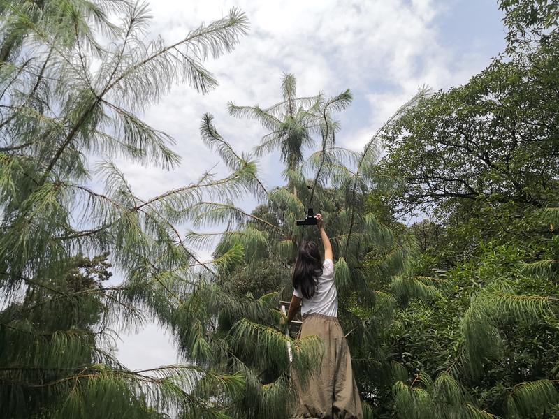 【云南智慧】用最严制度，护最美生态！