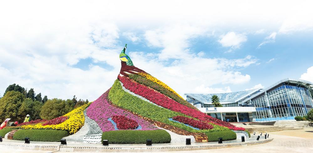 “生命之花”诠释绿色传奇