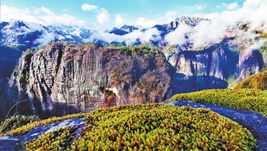 “生命之花”诠释绿色传奇