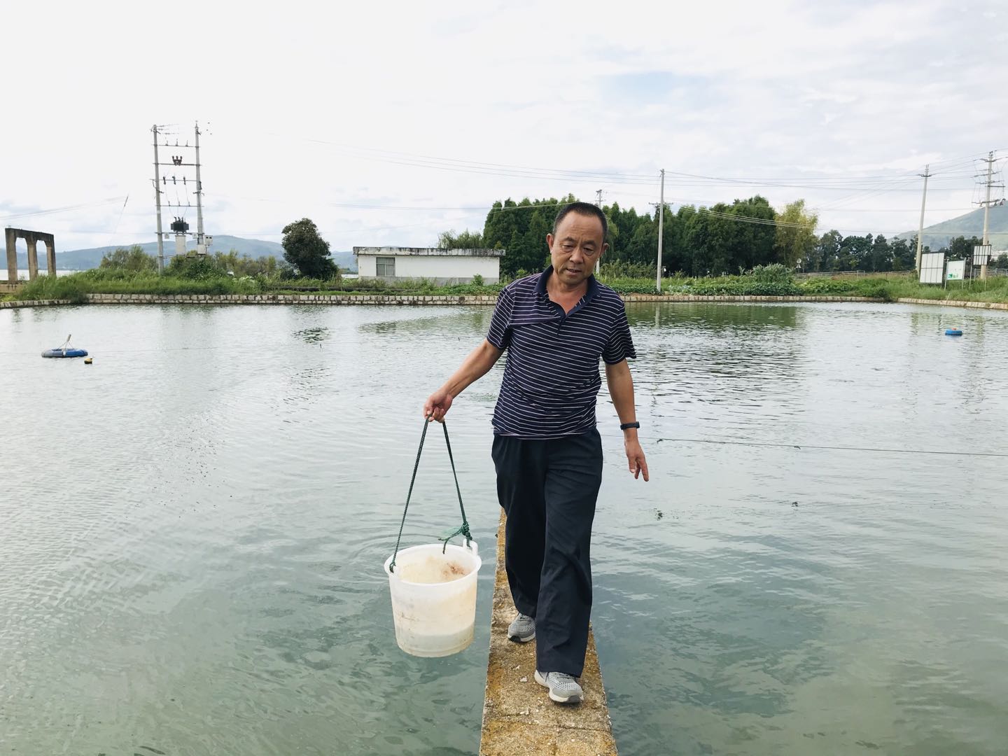 【和谐共处】呵护生灵 赢得回报