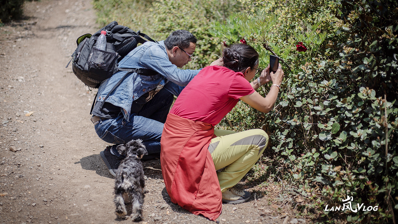 【和谐共处】呵护生灵 赢得回报