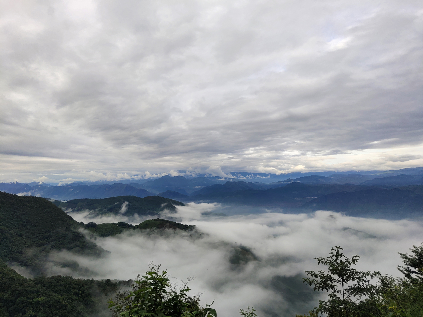 【和谐共处】呵护生灵 赢得回报