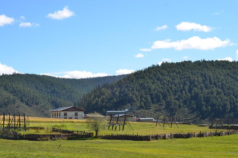 【和谐共处】呵护生灵 赢得回报