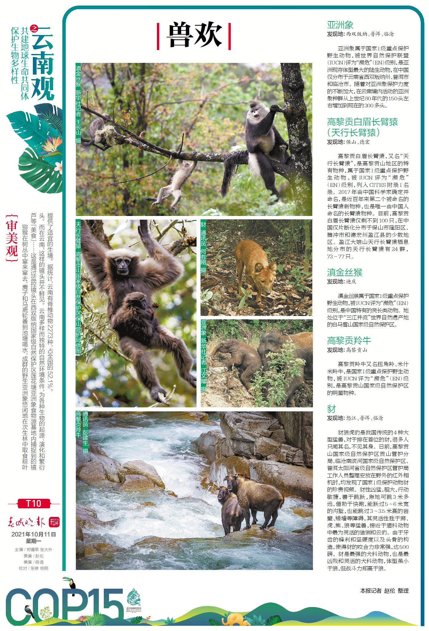 春城晚报COP15特刊第9 10版