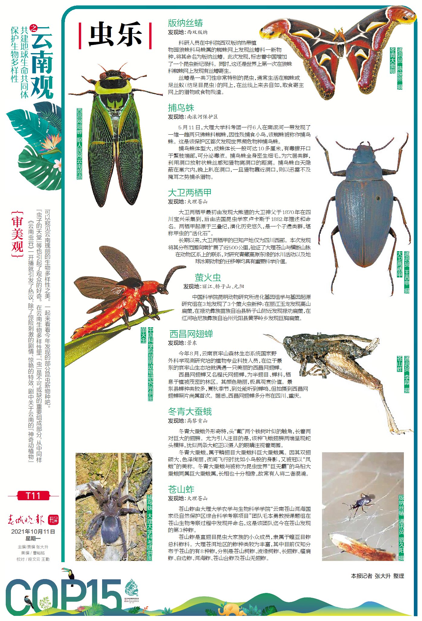 春城晚报COP15特刊第11版