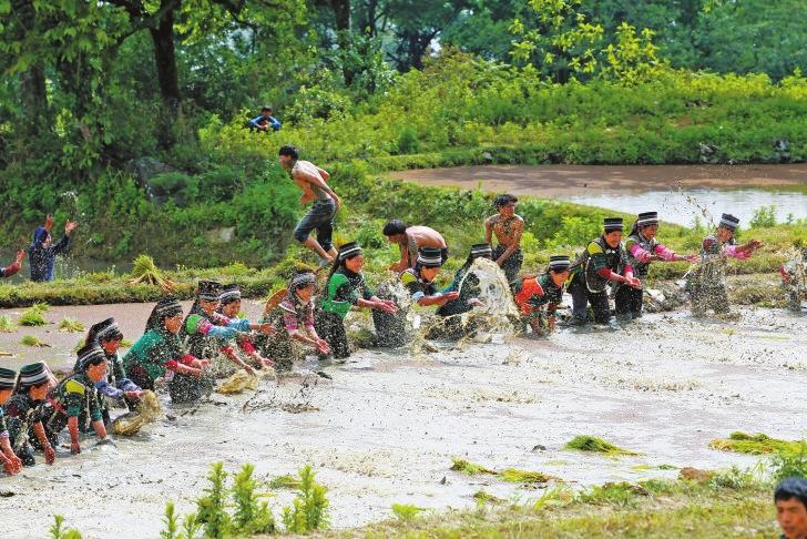 红河哈尼梯田 | 稻香鱼肥 人间仙境；开秧门节 本报记者 任锐刚 摄
