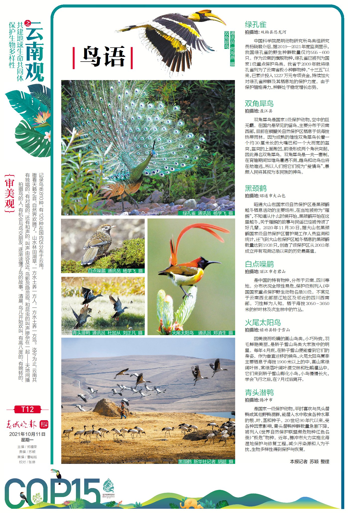 春城晚报COP15特刊第12版