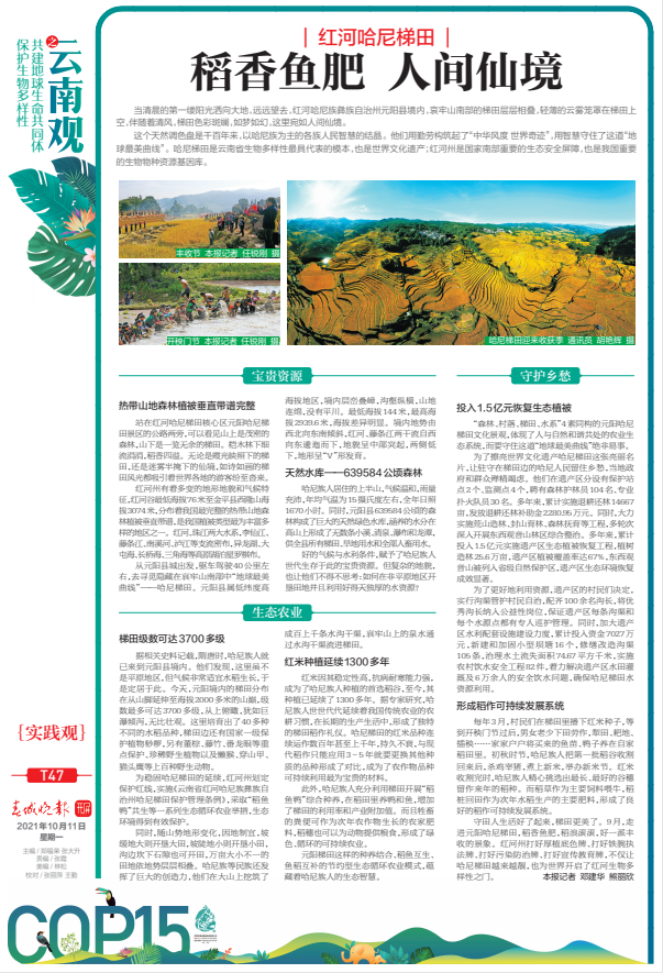 cop15特刊，红河哈尼梯田