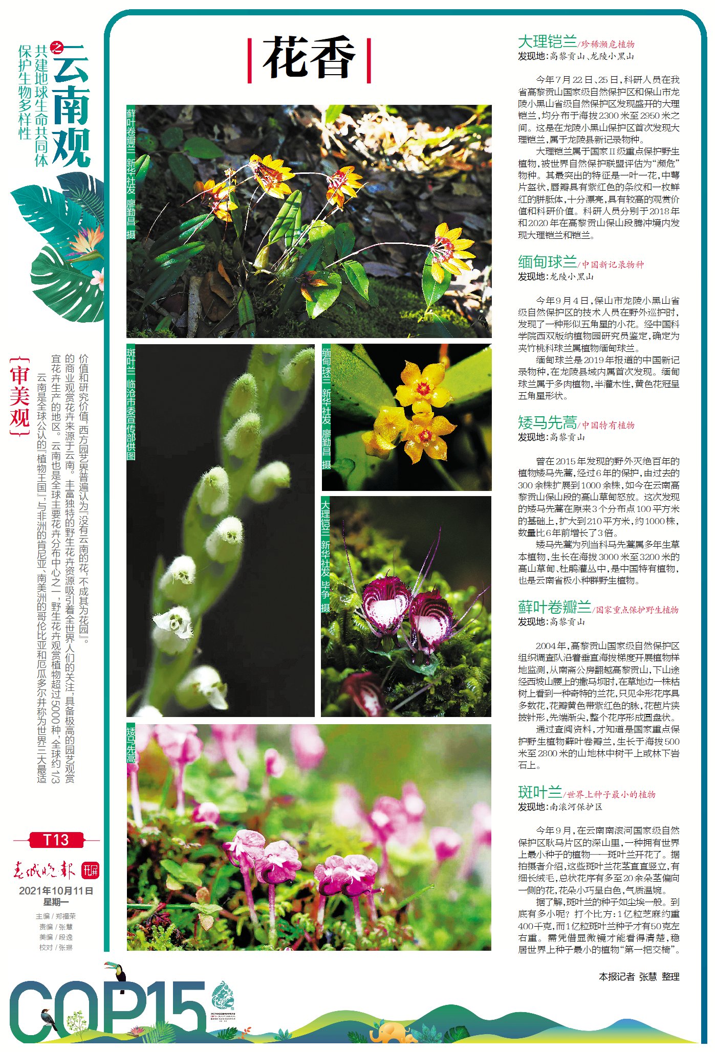 春城晚报COP15特刊第13版