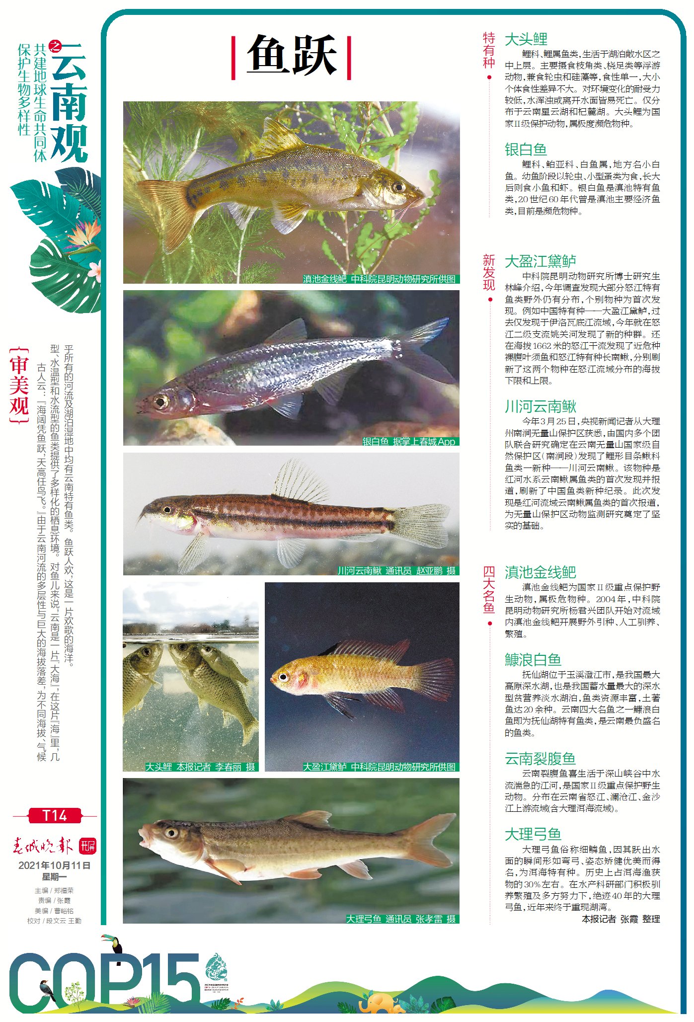 春城晚报COP15特刊第14、15版