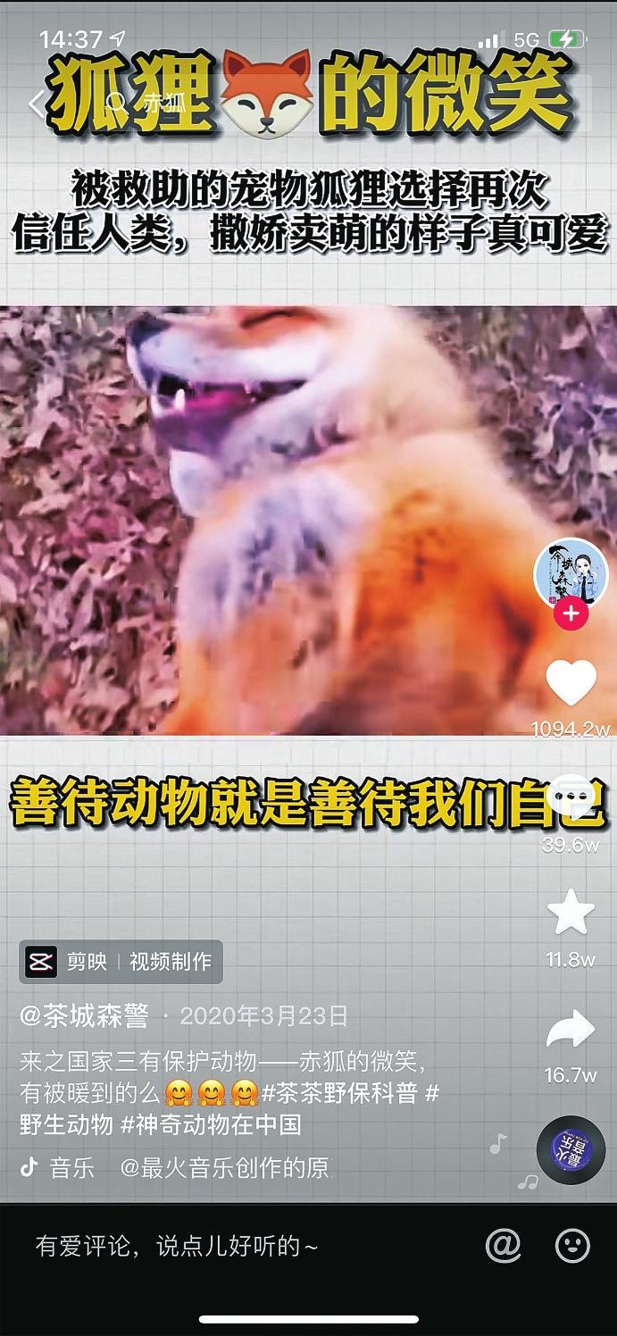 记录自然，守护美好——抖音 