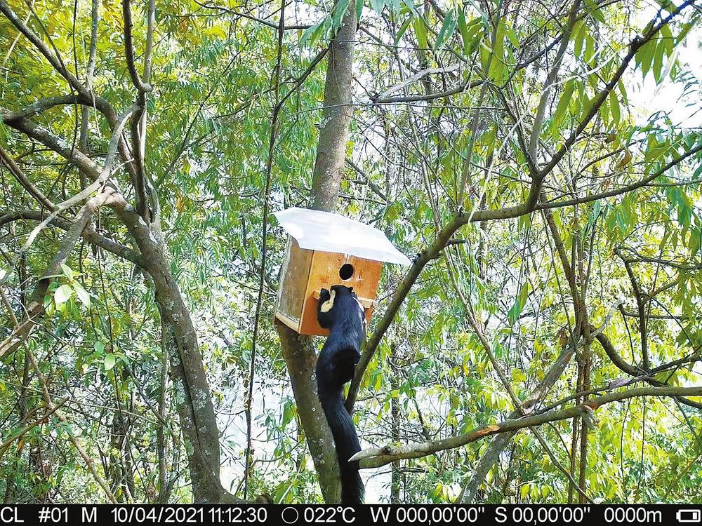记录万物生灵 传递生态保护——中国移动云南公司邀你玩转手机视频彩铃  