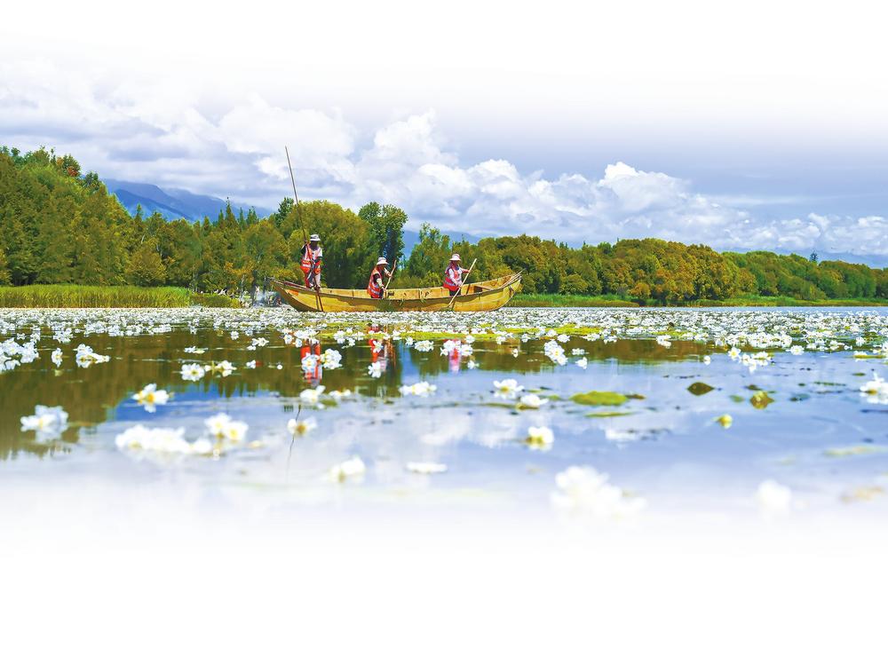 助力绿色出行，监控生态资源——云南铁塔