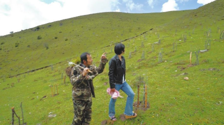 修复廊道 搭起滇金丝猴“鹊桥”2.png