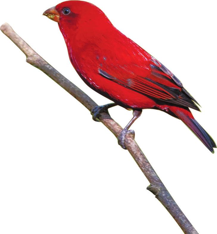 【三江并流】神奇乐土物种天堂