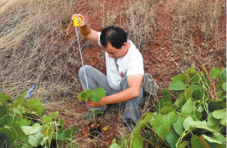 曾“命悬一线” 今“逆袭重生”.png