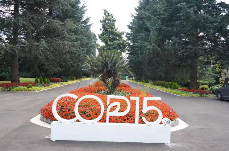 “扶荔宫” 张勇 通讯员 赵丽娟 摄