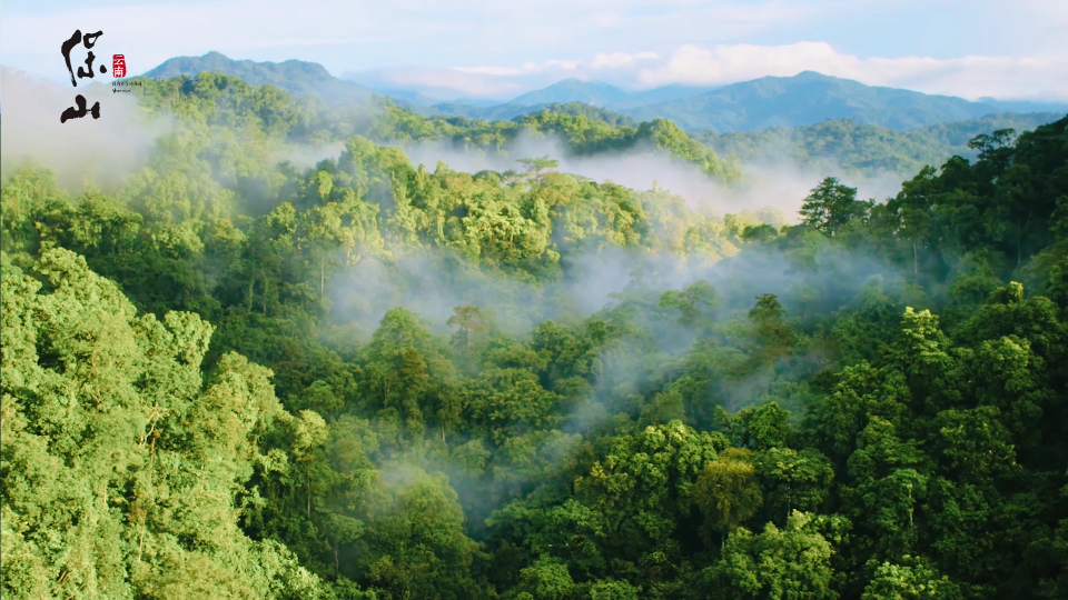 保山推出《生态保山》宣传视频和海报