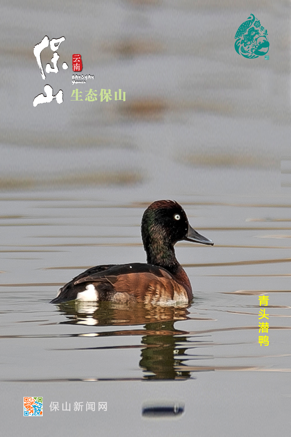 保山推出《生态保山》宣传视频和海报
