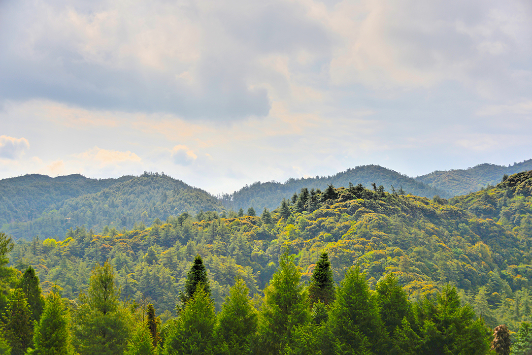 昌宁：保护人与自然和谐的“天堂”（昌宁县林草局供图）