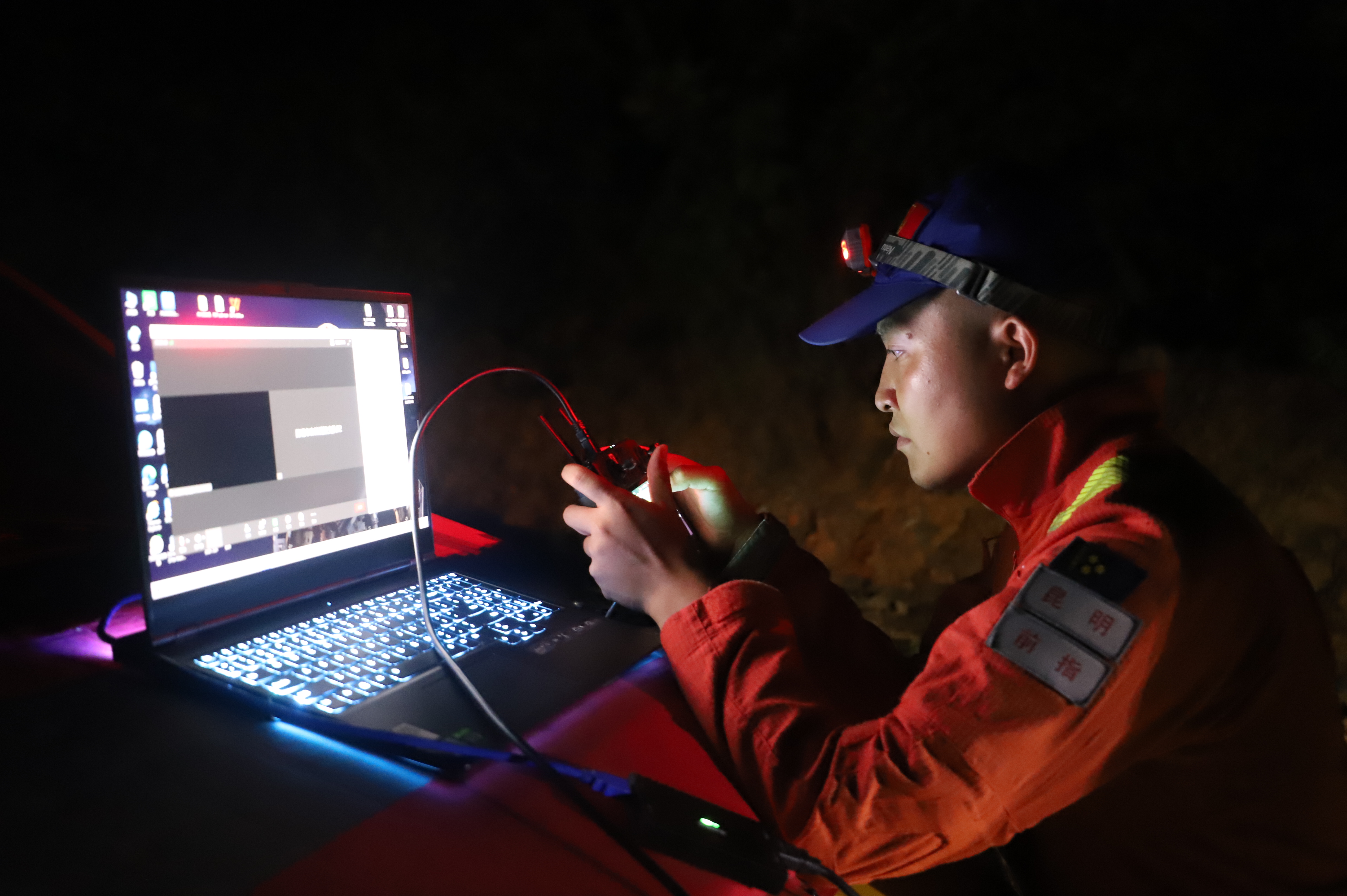 亚洲象（供图）