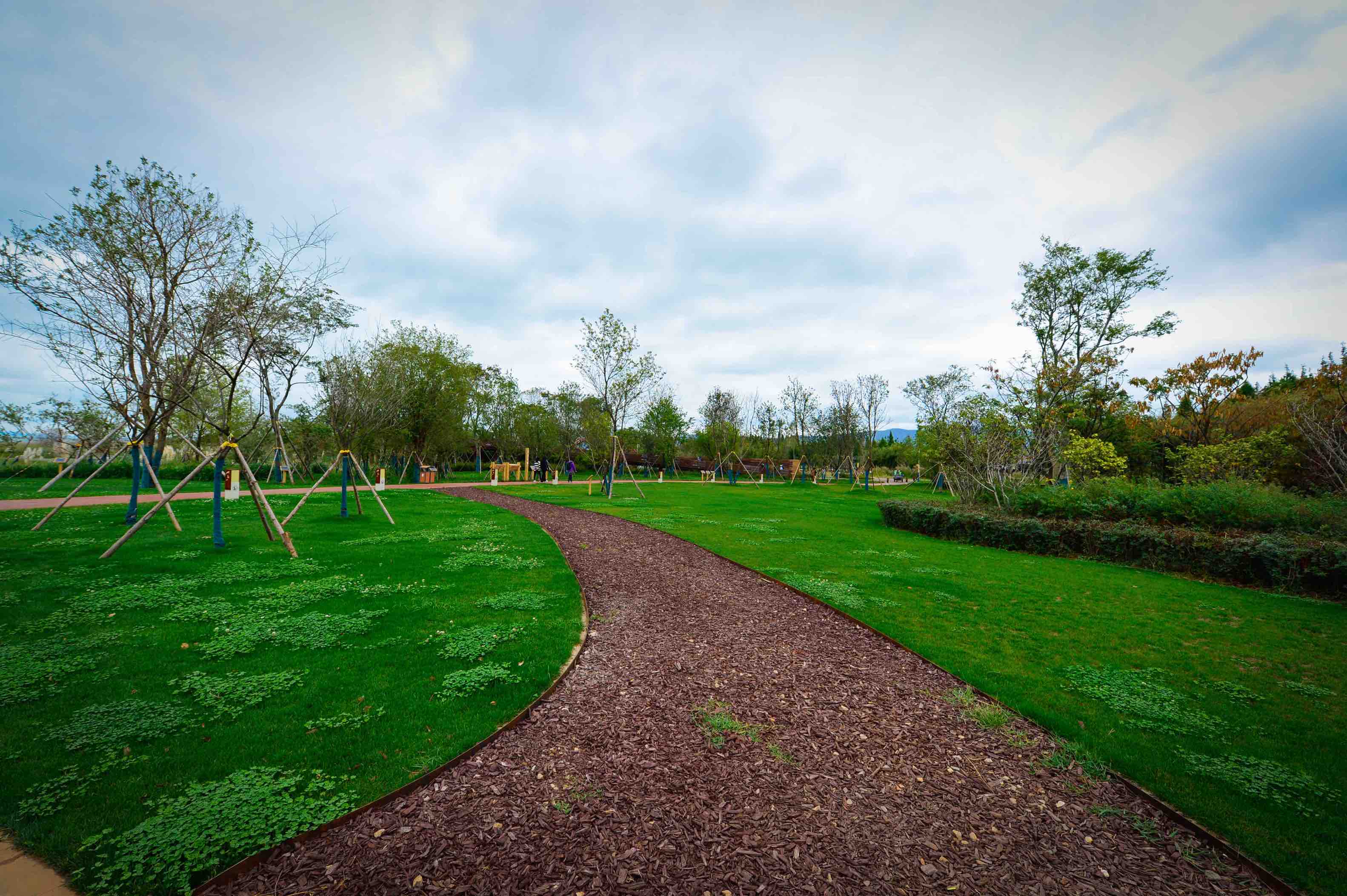 宝丰湿地  龙宇丹 摄