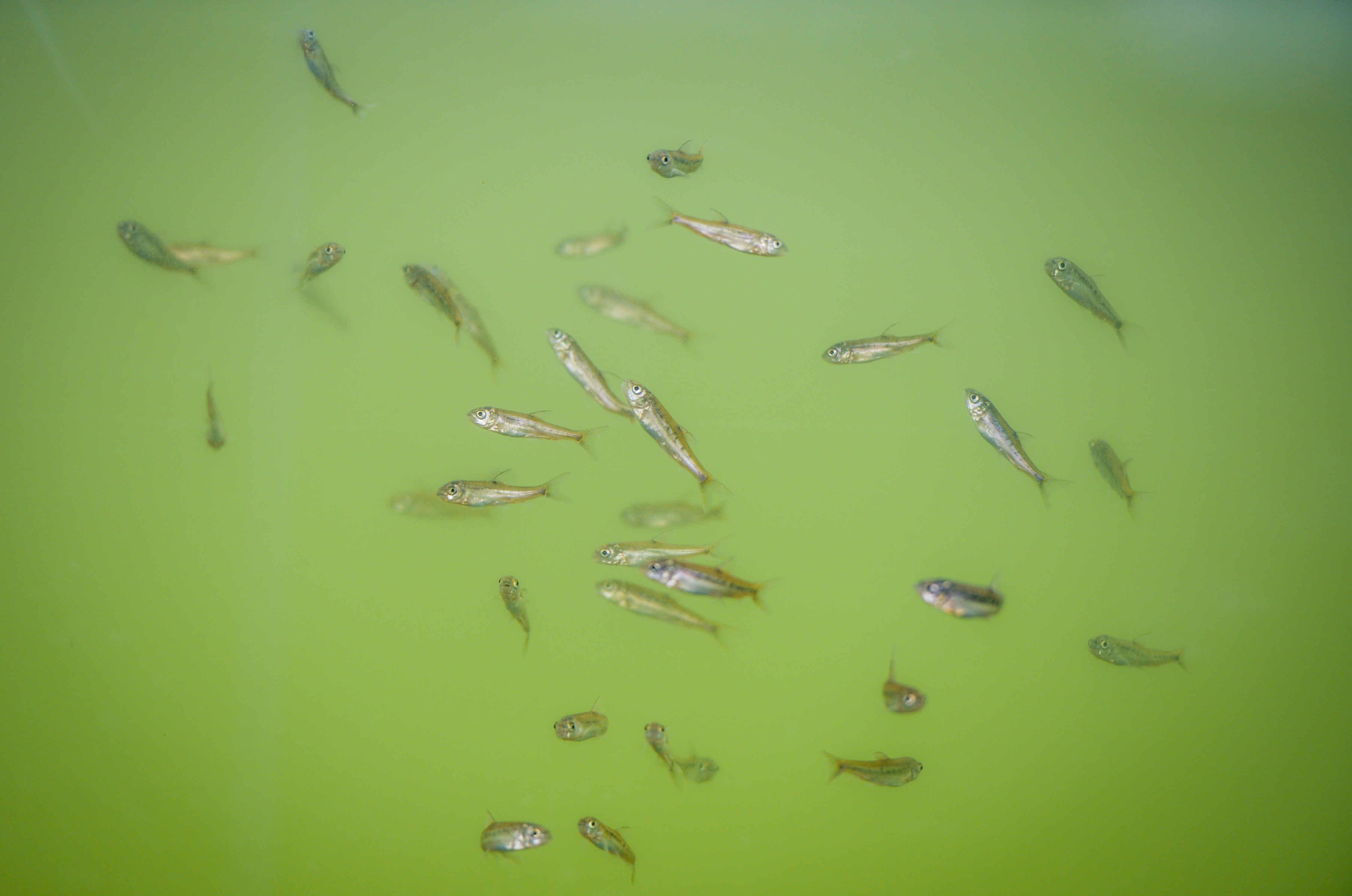 宝丰湿地  龙宇丹 摄