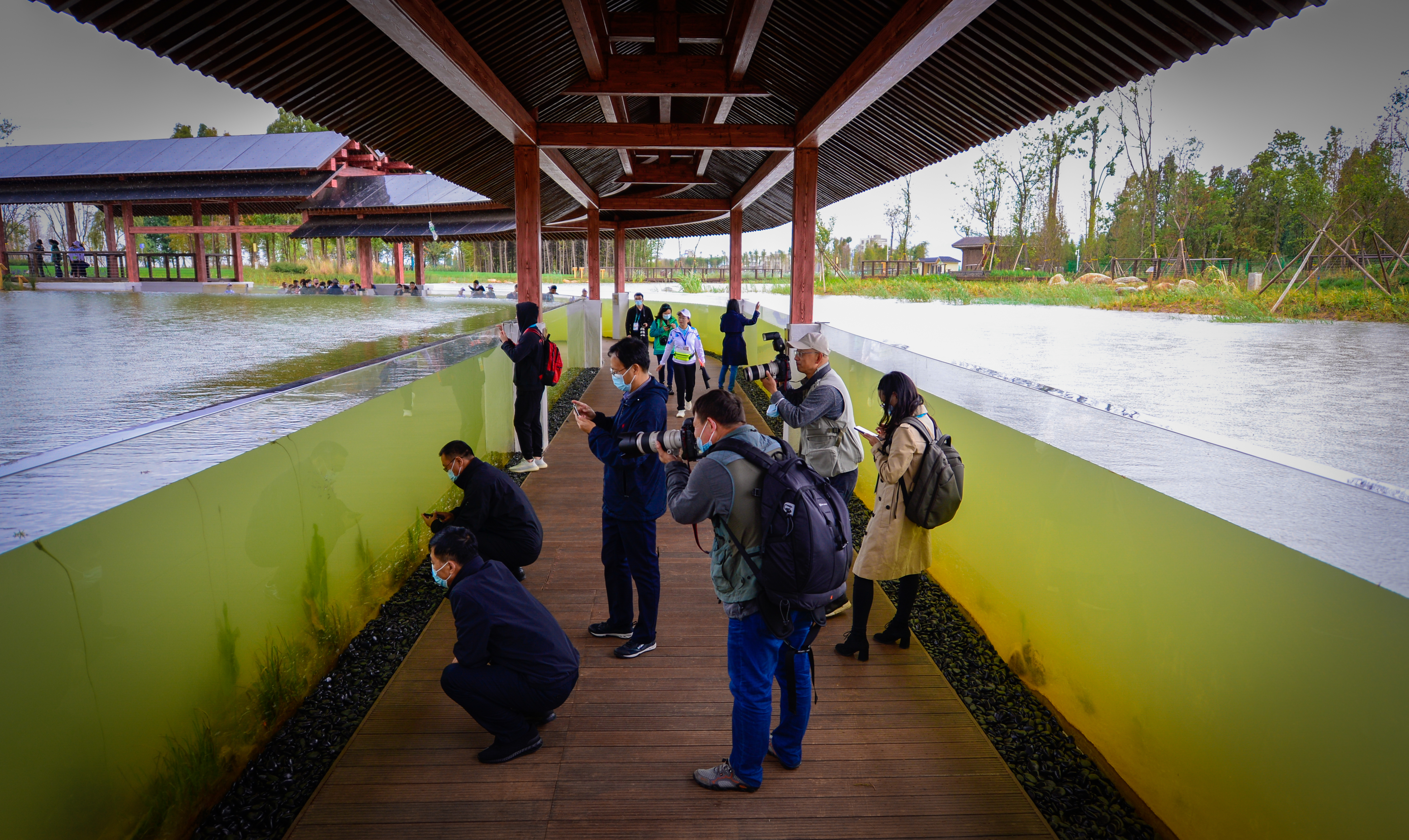 宝丰湿地  龙宇丹 摄