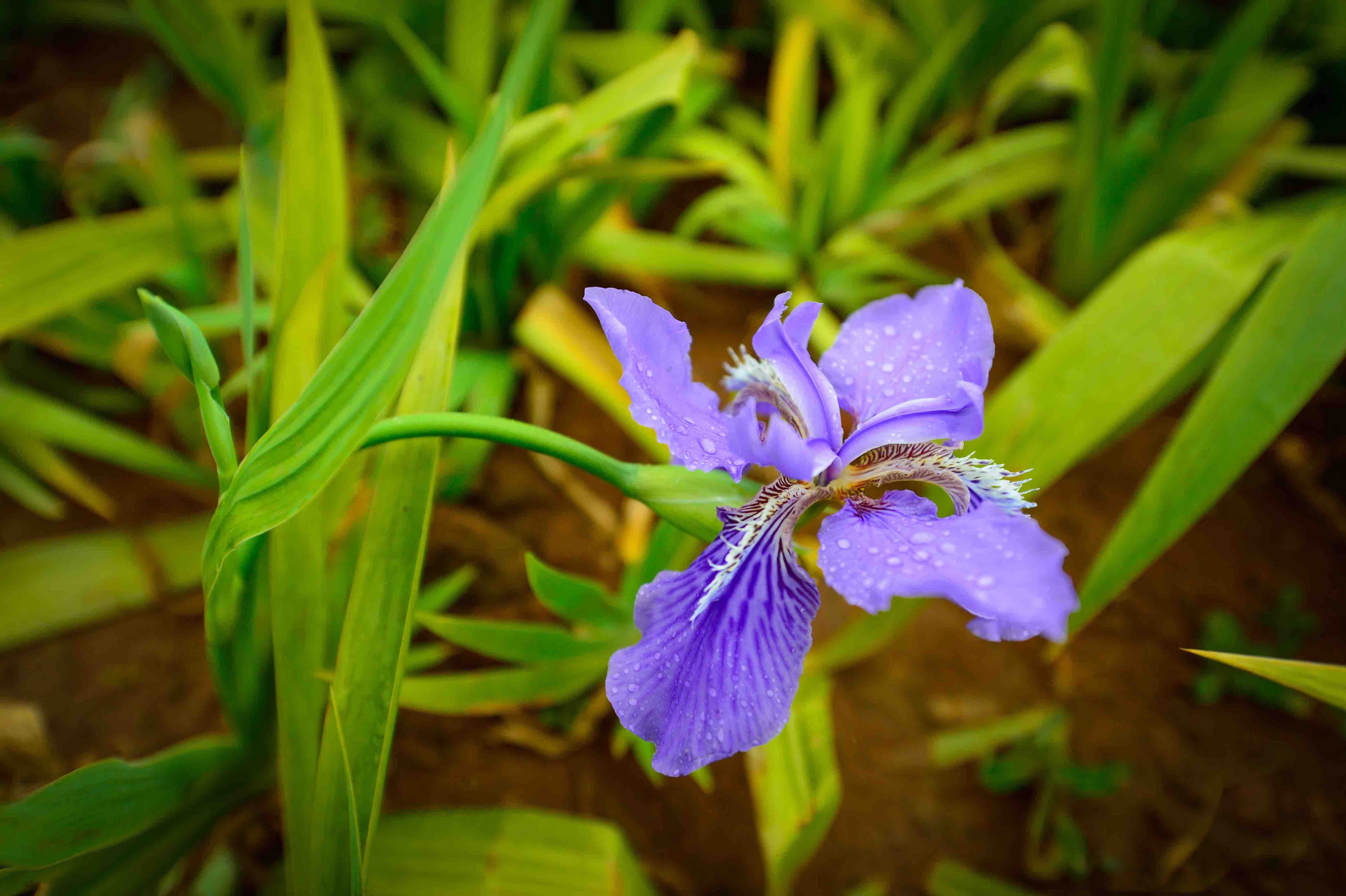 宝丰湿地  龙宇丹 摄