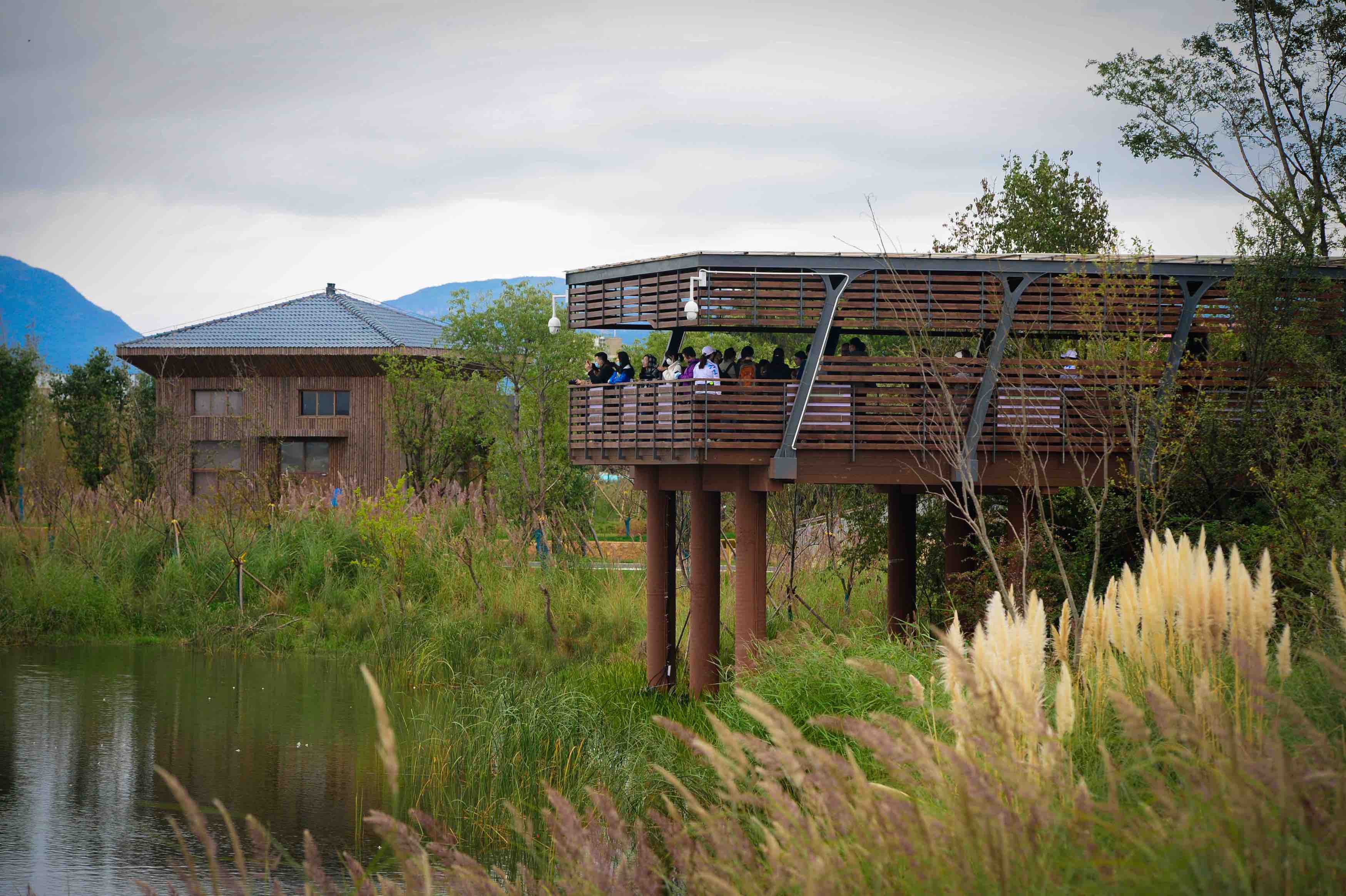 宝丰湿地  龙宇丹 摄