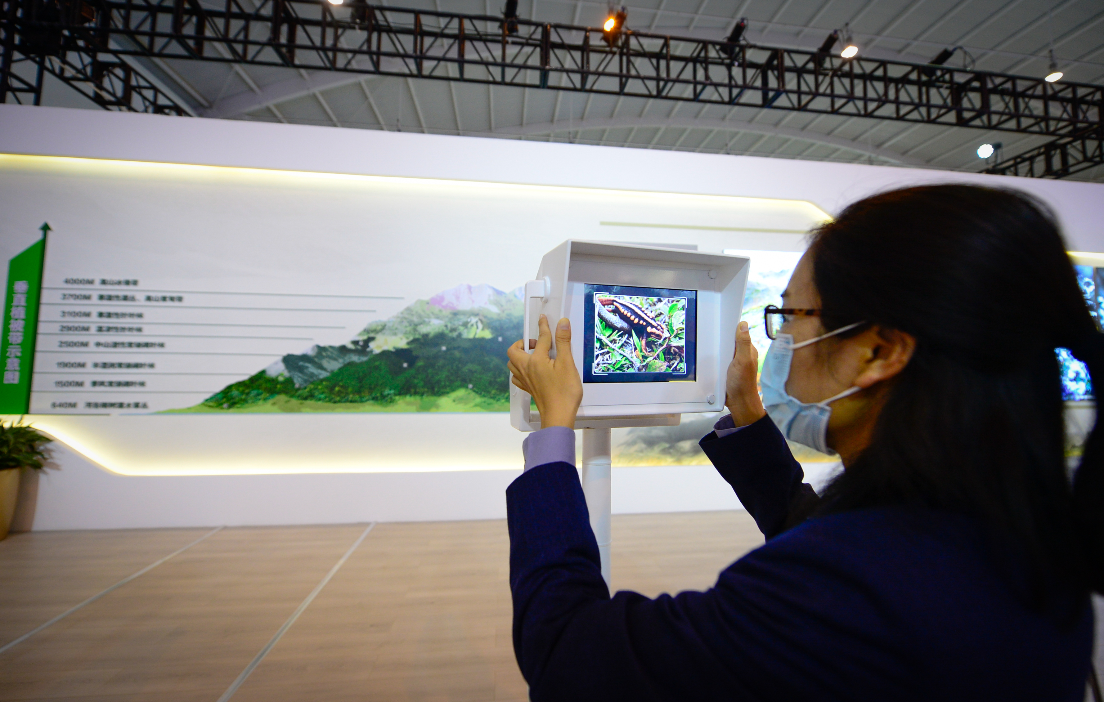 探秘COP15大会唯一的线下展（龙宇丹 摄）