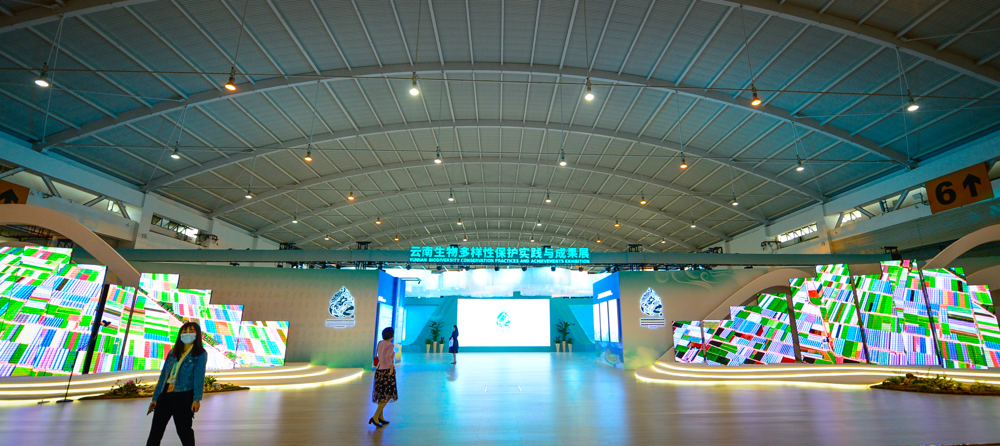 探秘COP15大会唯一的线下展（龙宇丹 摄）