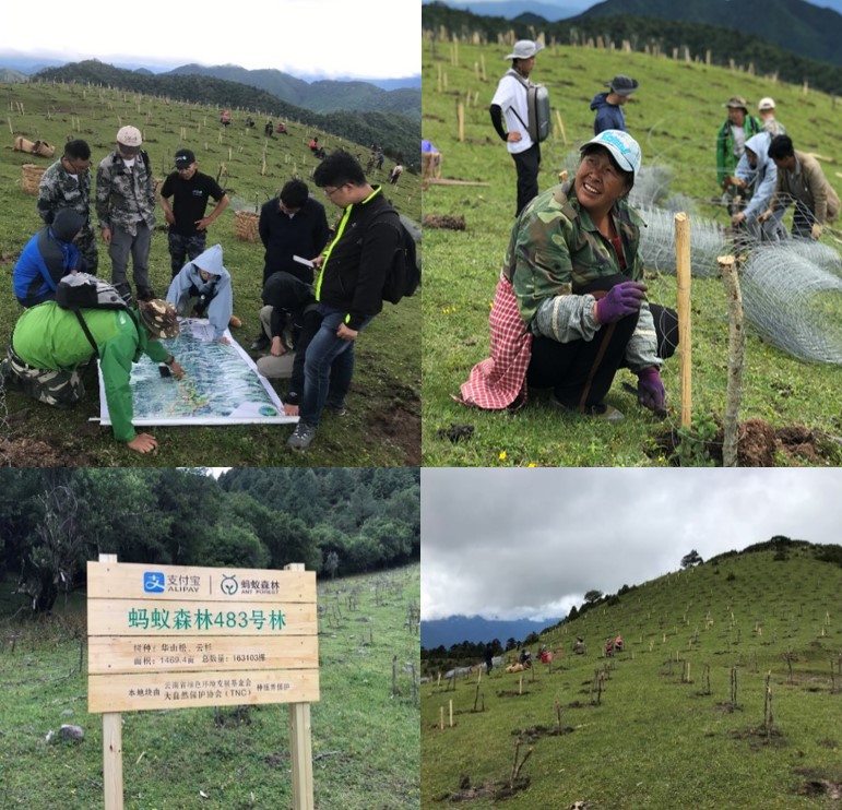 COP15生态文明论坛：蚂蚁集团宣布设立“灵长类动物保护专项基金”（黄兴能 通讯员 肖林 摄）