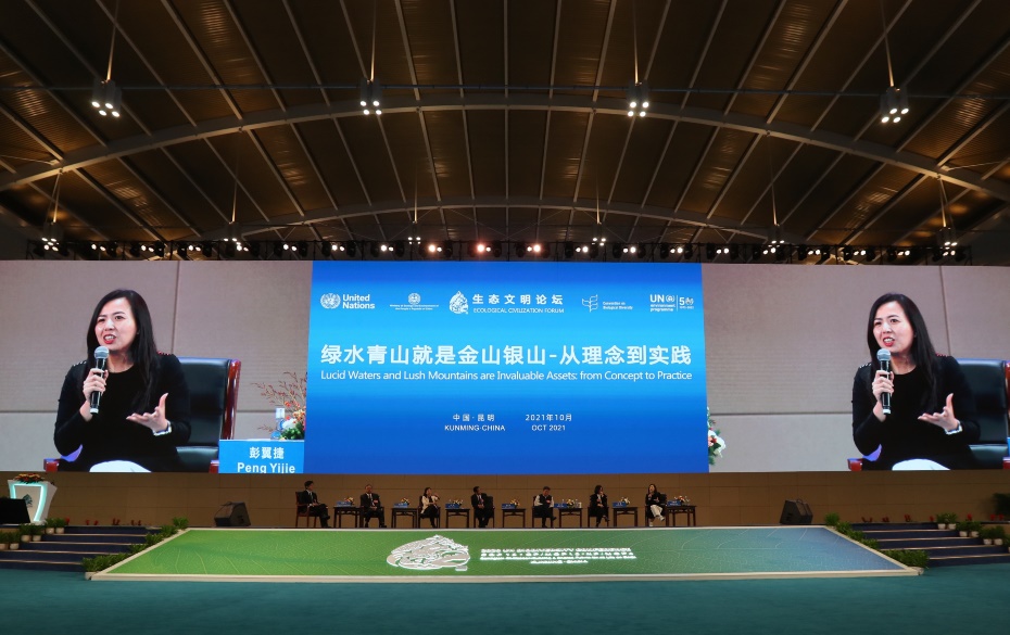 COP15生态文明论坛：蚂蚁集团宣布设立“灵长类动物保护专项基金”（黄兴能 通讯员 肖林 摄）