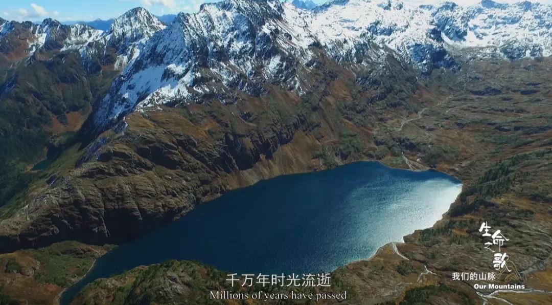 领略有情万物和合共生 倾听多样星球生命之歌