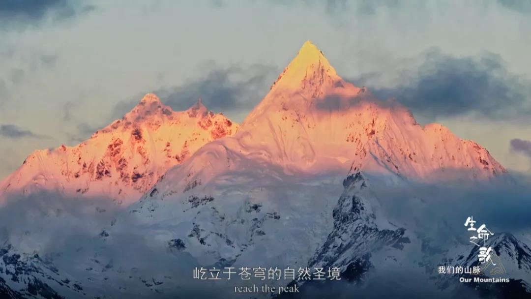 领略有情万物和合共生 倾听多样星球生命之歌