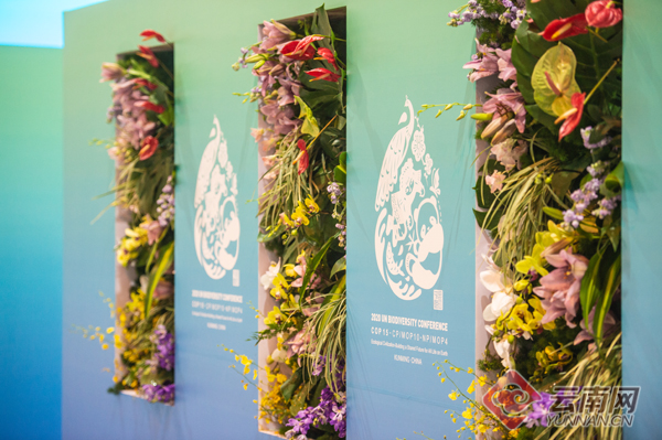 智能、便捷、高效!COP15新闻中心这样助力媒体全方位报道盛会