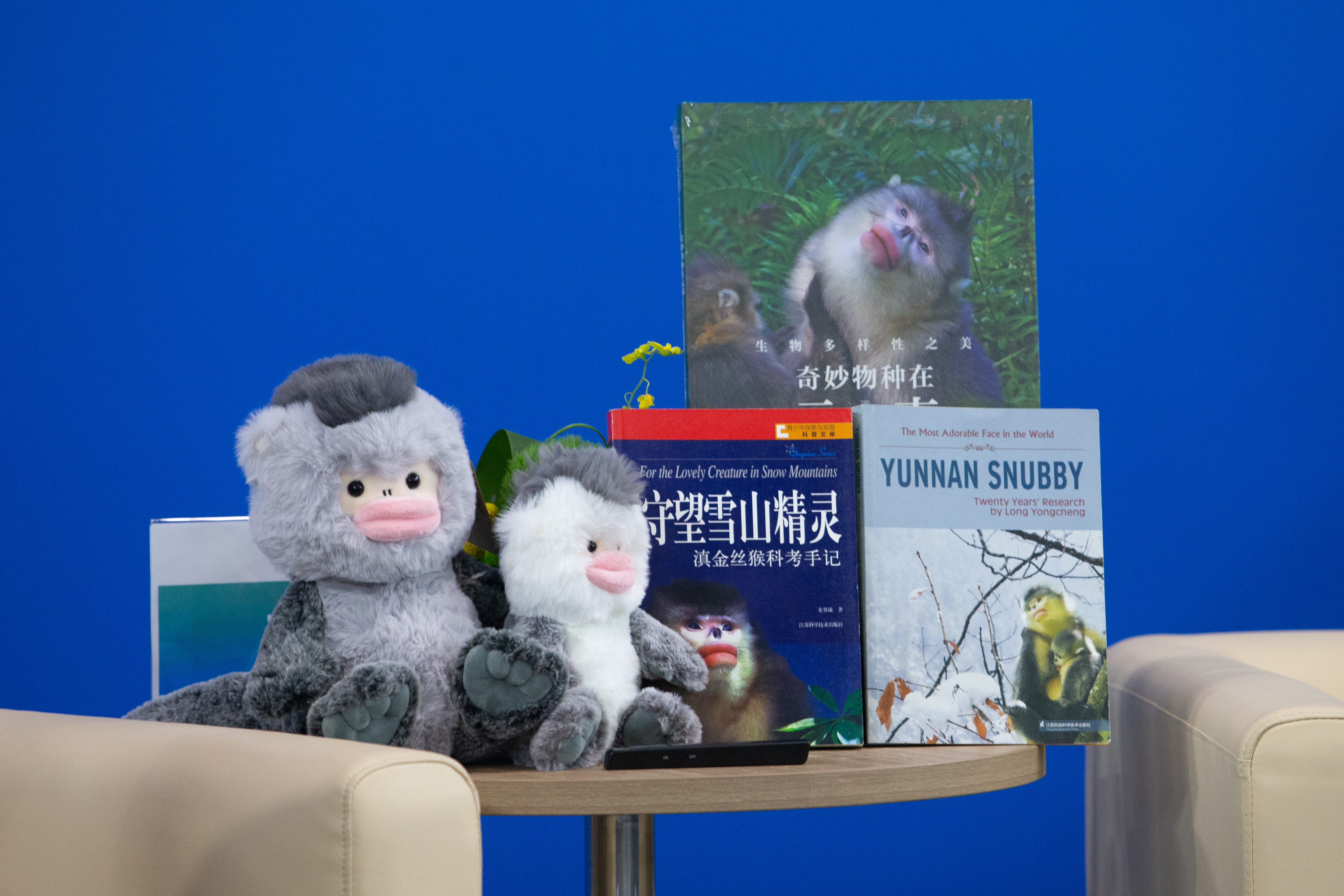 滇金丝猴 高伟摄