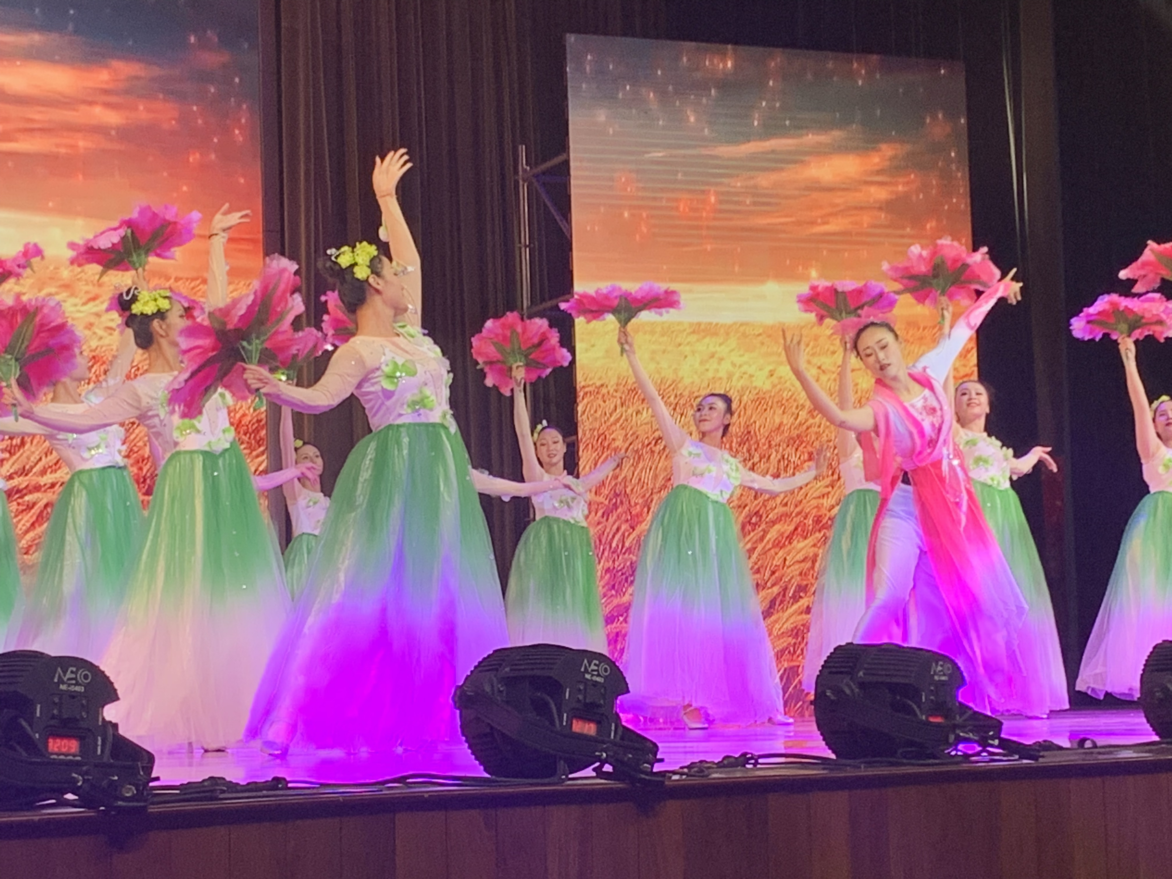 【民族团结进步看德宏】顶流： 德宏民族团结月绽光放彩