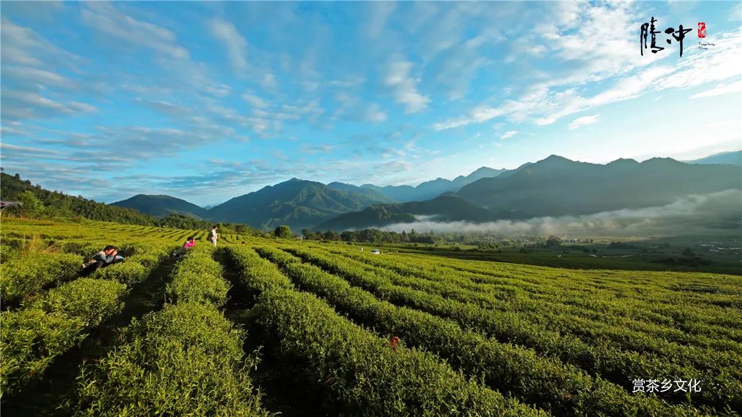 腾冲：践行“绿水青山就是金山银山”理念