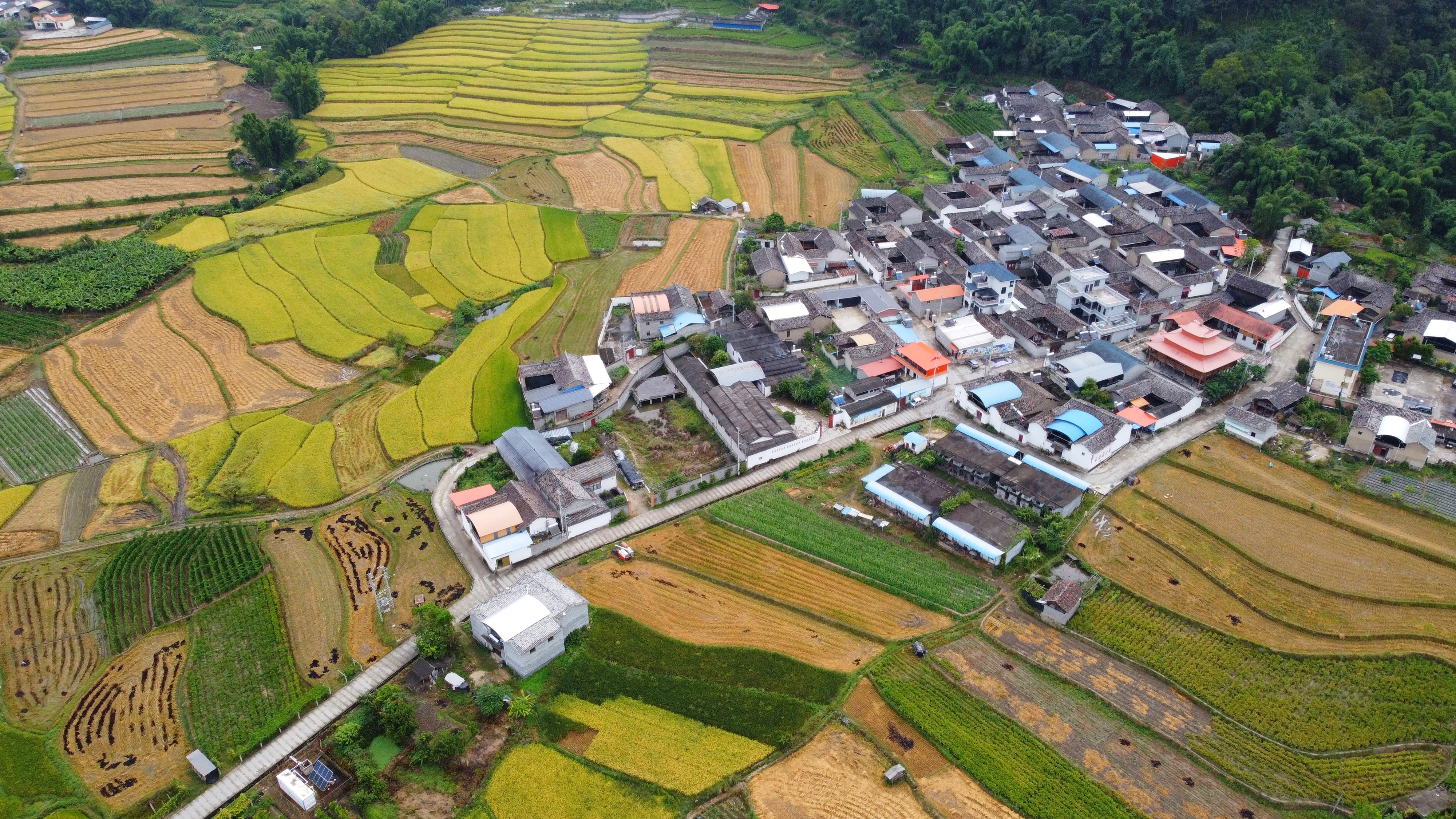 【民族团结进步看德宏】帮盖村：美丽傣乡绽放民族团结进步之花