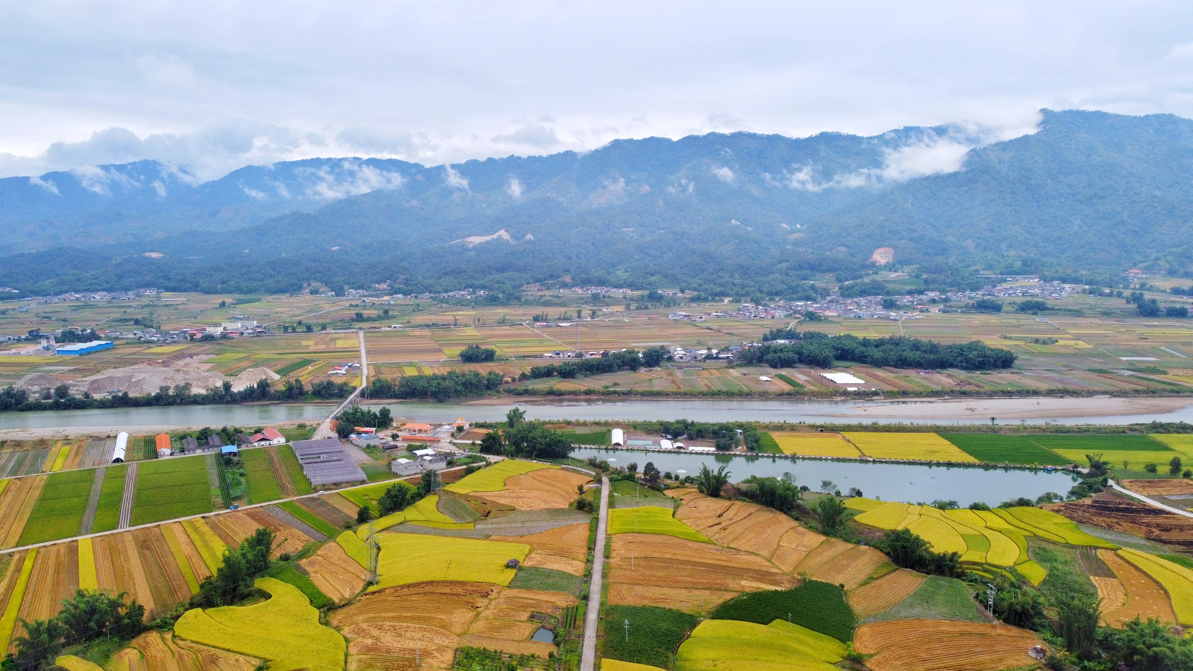 【民族团结进步看德宏】帮盖村：美丽傣乡绽放民族团结进步之花